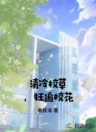 清冷校草，狂追校花