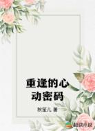 重逢的心动密码