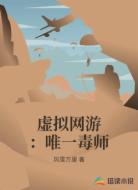 虚拟网游：唯一毒师