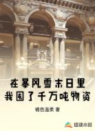 在暴風(fēng)雪末日里我囤了千萬噸物資