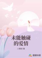 未能触碰的爱情