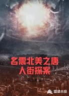 名震北美之唐人街探案