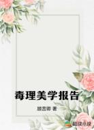 毒理美学报告