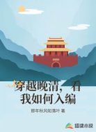 穿越晚清，看我如何入编