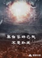 黑白密码之我不是卧底