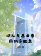 情劫之商业帝国的寒梅恋