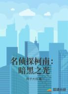 名侦探柯南:暗黑之光