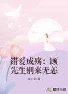 错爱成殇:顾先生别来无恙