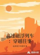 高速磁浮列车:穿越往事