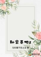 秘密基地z