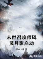 末世召唤师风灵月影启动
