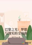 巴黎之光：梦想与现实的交响曲