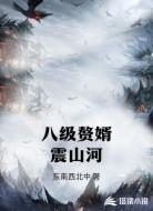 八级赘婿震山河