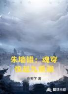 朱墙错：魂穿惊起九重澜