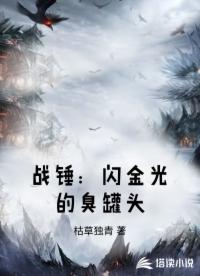 战锤：闪金光的臭罐头
