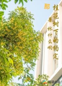 那桂花樹(shù)下的約定