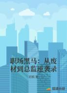 职场黑马：从废材到总监逆袭录