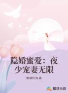 隐婚蜜爱:夜少宠妻无限