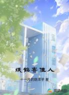 纸鹤寄佳人