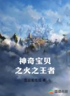 神奇宝贝之火之王者