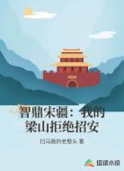 智鼎宋疆：我的梁山拒绝招安