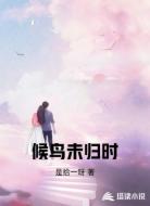 候鸟未归时
