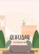 意识边境