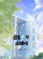 盛夏,不止蝉鸣