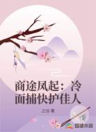 商途凤起：冷面捕快护佳人