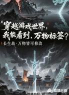 穿越游戏世界，我能看到万物标签