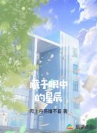藏于眼中的星辰