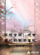 穿越宫阙：绝世皇妃的繁华哀歌