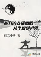 被弃的太极图腾从尘埃到世界
