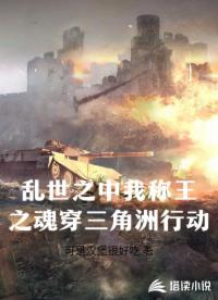 亂世之中我稱王之魂穿三角洲行動