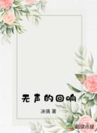 无声的回响