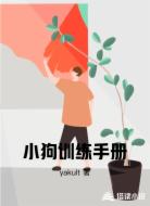 小狗训练手册