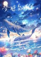 梦醒的时候