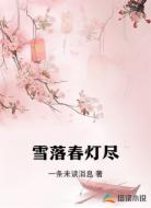 雪落春灯尽