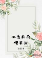 心之所向便有光