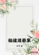 仙途迷悬案
