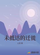 未抵达的迁徙