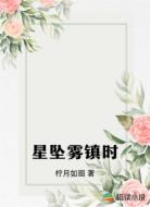 星坠雾镇时
