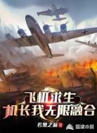 飞机求生,机长我无限融合