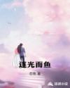 逐光而遇