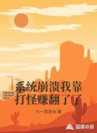 系统崩溃我靠打怪赚翻了了