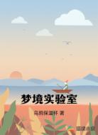 梦境实验室