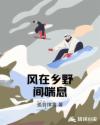 風(fēng)在鄉(xiāng)野間喘息