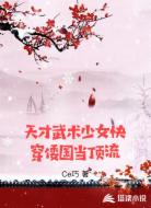 天才武术少女快穿倭国当顶流