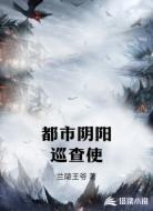都市阴阳巡查使