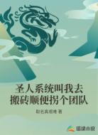 圣人系统叫我去搬砖顺便拐个团队